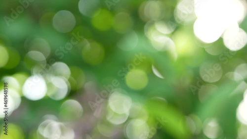 Abstract background - green, lilac, yellow colors, spring kaleidoscope.