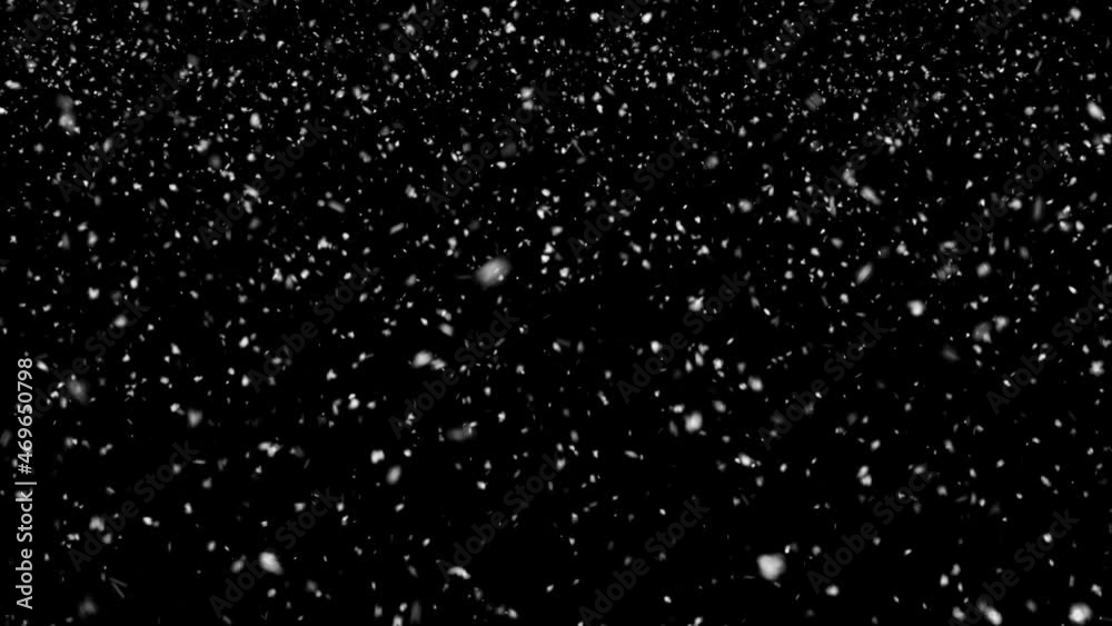Natural falling snow, PNG codec with alpha channel - transparent background. Seamless loop Natural falling snow, PNG codec with alpha channel - transparent background. Seamless loop