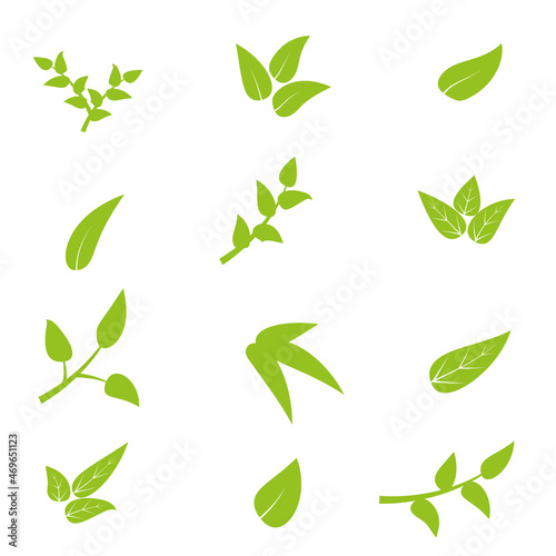 Set of green leaves on white background