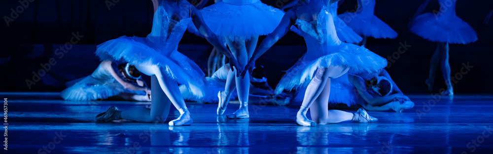 Fototapeta premium Swan Lake ballet. Ballerinas dancing