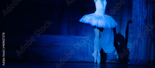 Fototapeta Naklejka Na Ścianę i Meble -  Swan Lake ballet. Ballerinas dancing