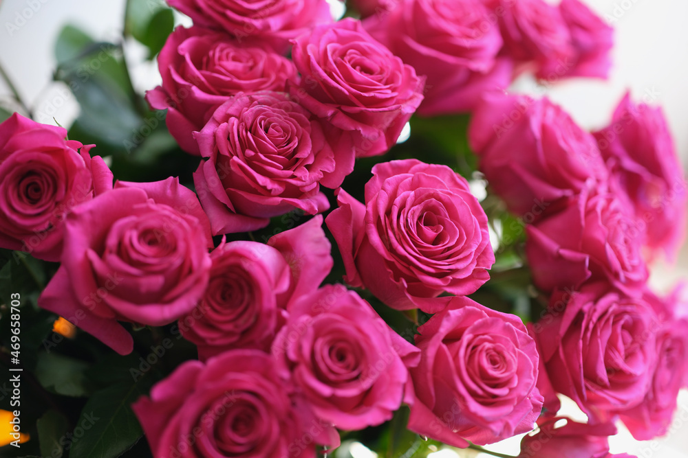 Beautiful fresh blooming bouquet of pink roses with green leaves Beautiful fresh blooming bouquet of pink roses with green leaves