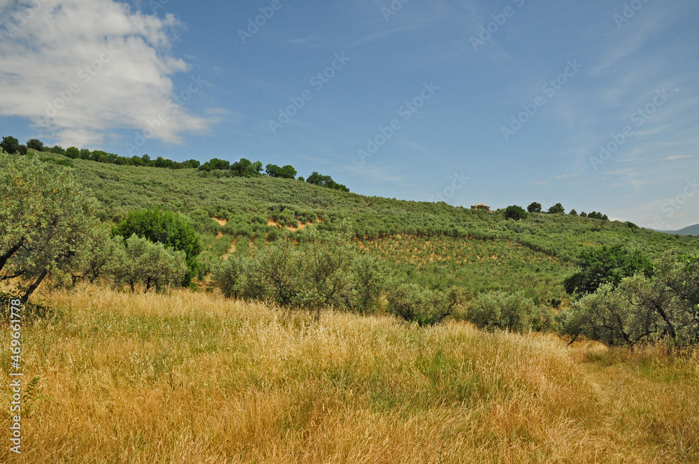 Paesaggio delle colline dell'Umbria a Spello