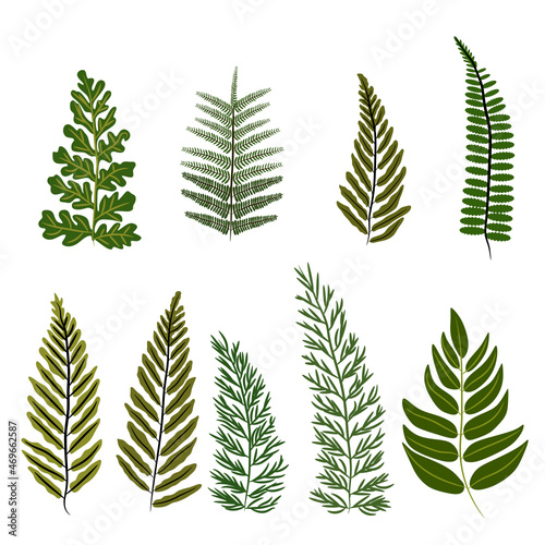 Green leaf collection svg vector illustration