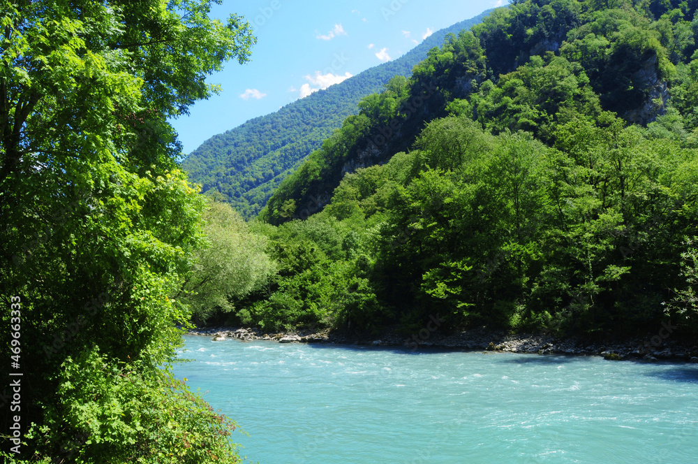Mountain river in Abkhazia and rich nature on a summer day.