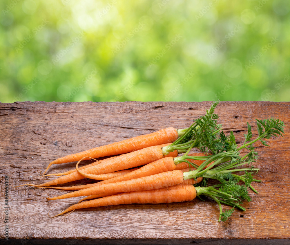 Fresh carrots with leaves on wooden background, Baby carrot Healthy vegetable on natural garden Blur background.
