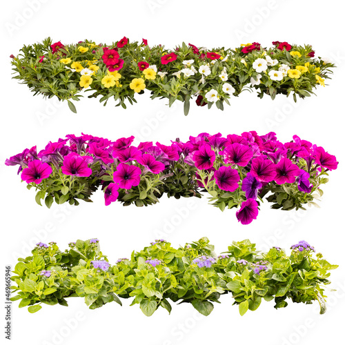 Fototapeta Naklejka Na Ścianę i Meble -  Balcony flowers in rows