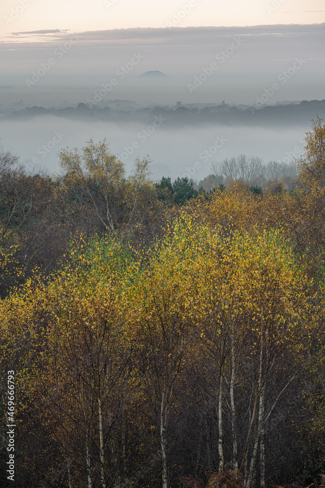 Golden autumnal fall tree and leaf colours at the Downs Banks, Barlaston in Staffordshire. Golden autumnal fall tree and leaf colours at the Downs Banks, Barlaston in Staffordshire.