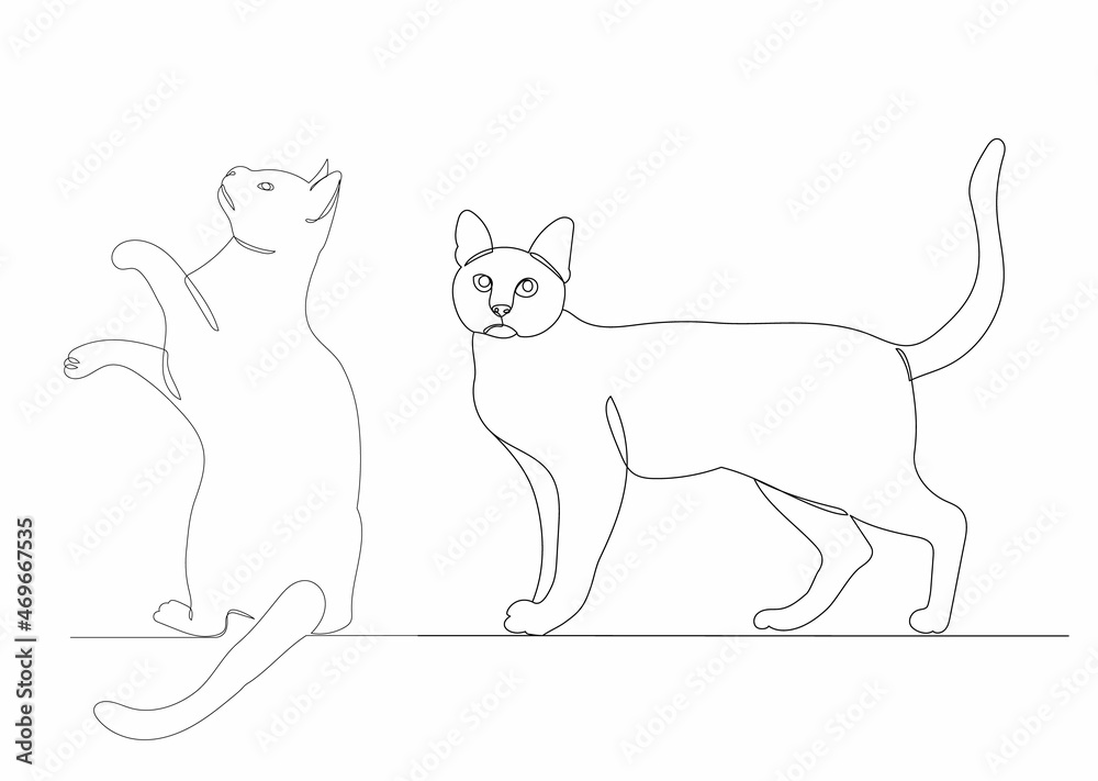 cat drawing one continuous line vector