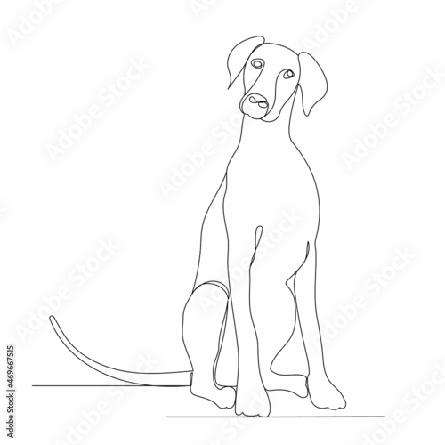 dog sitting one continuous line drawing vector, isolated