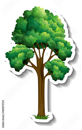 Tree sticker on white background