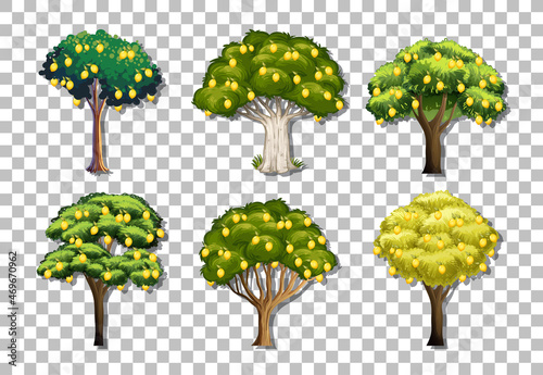 Set of variety lemon trees on transparent background