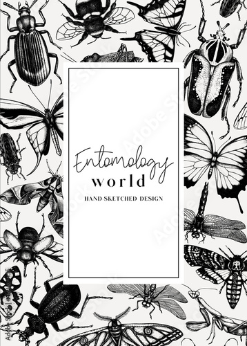 Hand-sketched insect card or invitation template. Hand drawn beetles, bugs, butterflies, dragonfly, cicada, moths, bee illustrations in vintage style. Entomological frame design with insects outlines