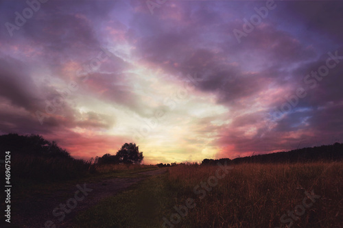 Meadow scene in UK