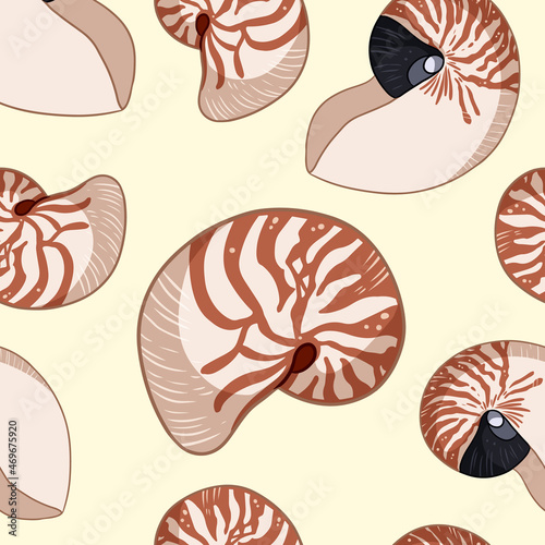 Nautilus shells colorful doodles seamless pattern. Background template of stock sea shells for wrapping design, wallpaper. Repeatable texture tile