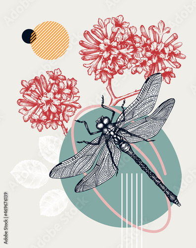 Collage style dragonfly vector illustration. Hand-sketched insect on Pink trumpet tree. Trendy design with floral, geometric shapes, abstract elements. Perfect for print, poster, card, wall art.