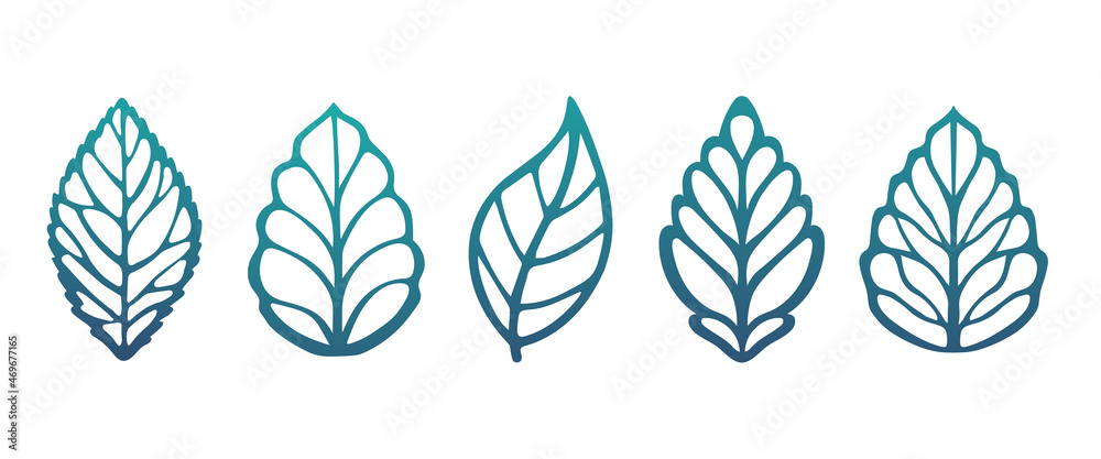 Fototapeta premium Set of leaves Stencil leaves, beautiful plants, leaves, plant design. Vector illustration . 