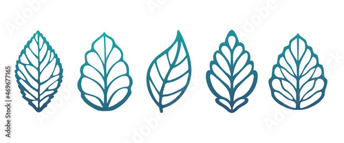 Set of leaves Stencil leaves  beautiful plants  leaves  plant design. Vector illustration . 