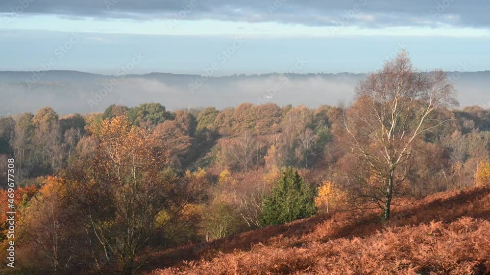 Barlaston, Stoke-on-Trent autumn mist time lapse at sunrise. Barlaston, Stoke-on-Trent autumn mist time lapse at sunrise.