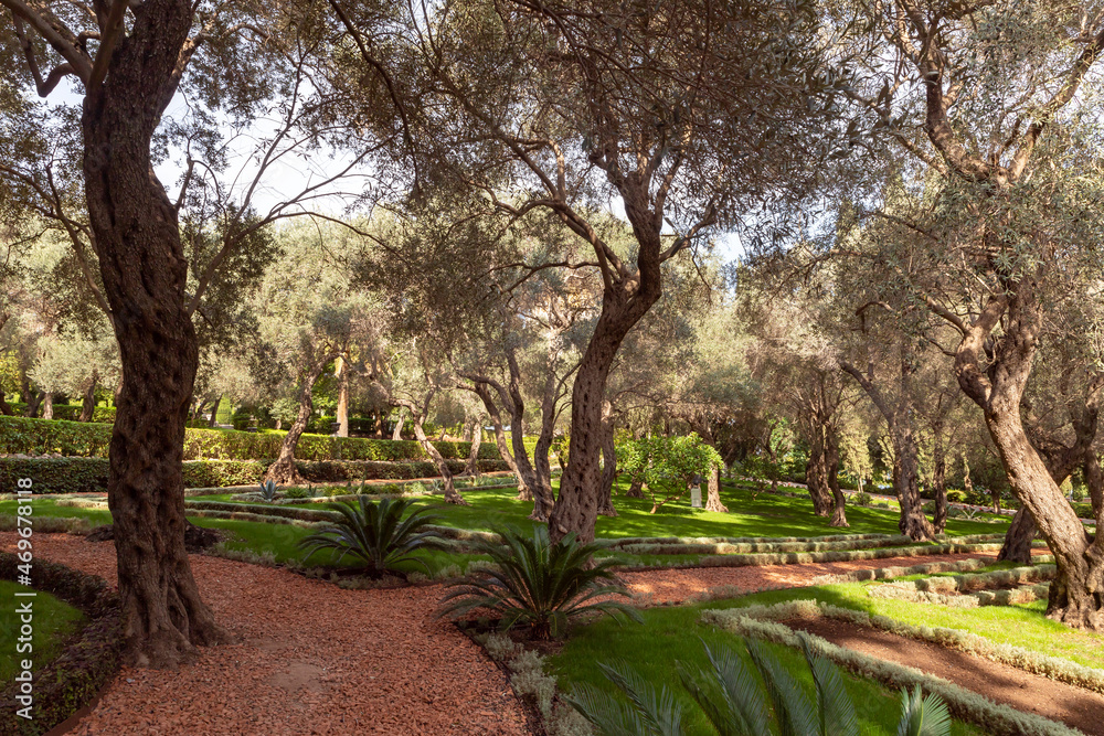 The majestic beauty of the Bahai Garden, located on Mount Carmel in the city of Haifa, in northern Israel The majestic beauty of the Bahai Garden, located on Mount Carmel in the city of Haifa, in northern Israel