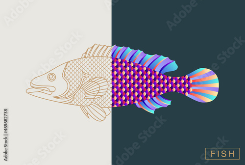 Abstract fish illustration