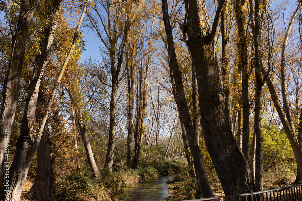 Autumn in country of Spain, river, colors, trees