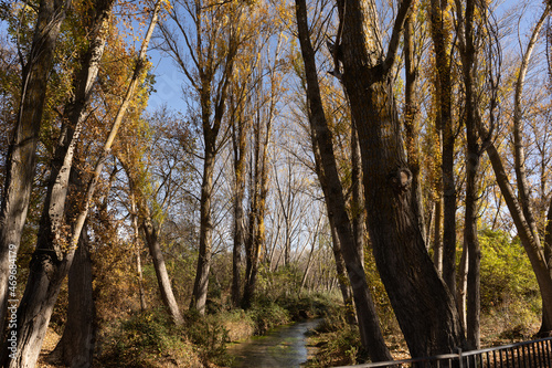 Fototapeta Naklejka Na Ścianę i Meble -  Autumn in country of Spain, river, colors, trees