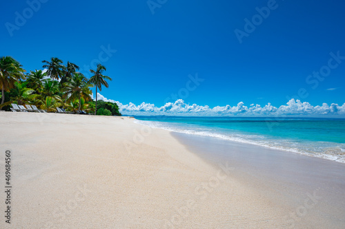 Fototapeta Naklejka Na Ścianę i Meble -  Palm Ocean Sky Paradise