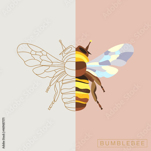 Abstract insects illustration