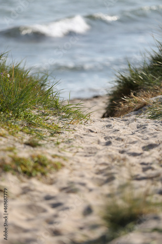 Detail photo from a beach at Fårö, Gotland Sweden.