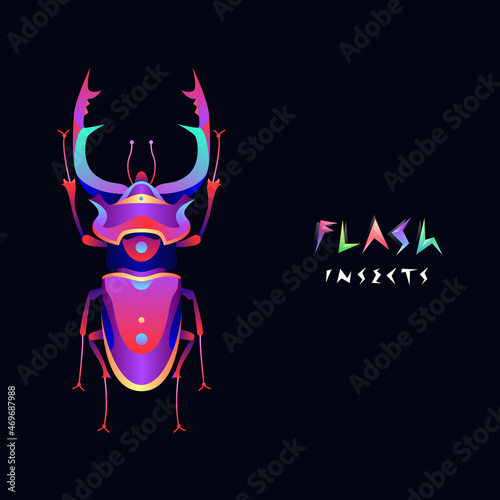 Flash beetle illustration