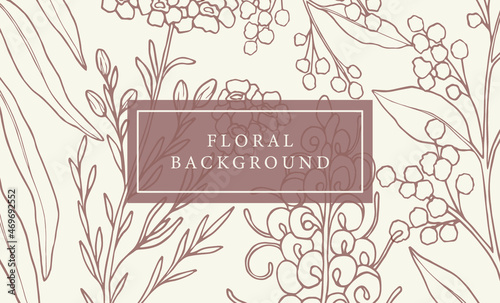 Hand drawn Australian native flowers background