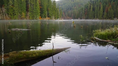 Foggy Morning on Lacul Rosu located in Harghita County, Romania