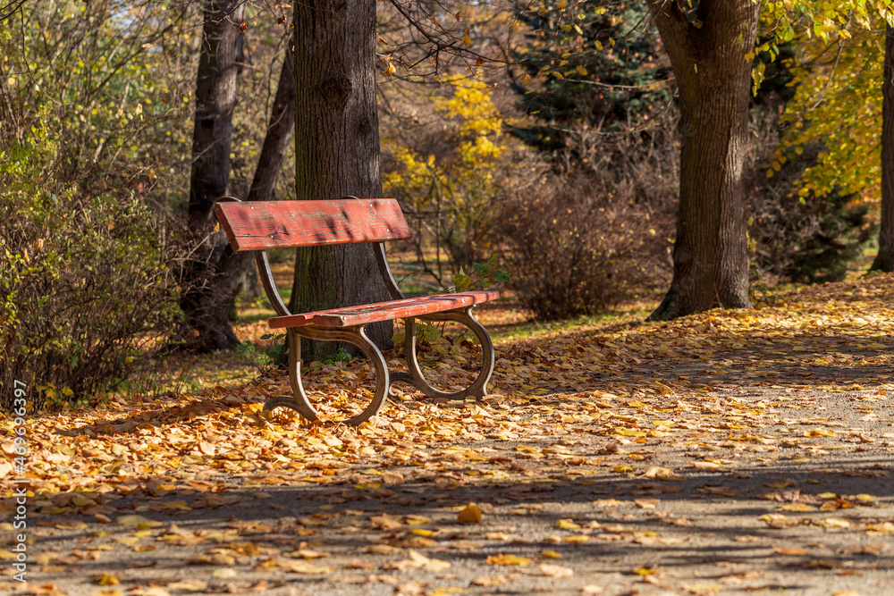 A wooden bench with metal elements stands on the path in the park among the trees. Landscape with autumn sun and shadows.