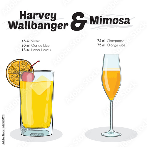 Hand Drawn Colorful Harvey Wallbanger and Mimosa Cocktail Drink Ingredients Recipe