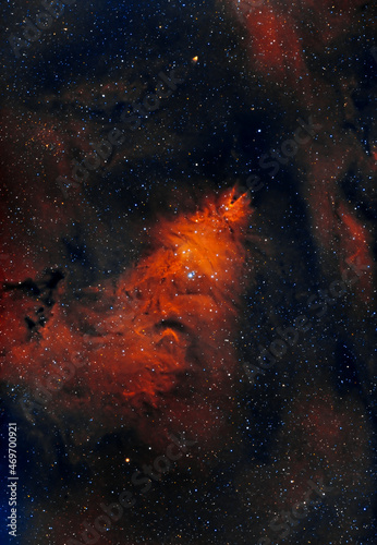 Cone Nebula, The Christmas Tree Cluster, NGC 2264