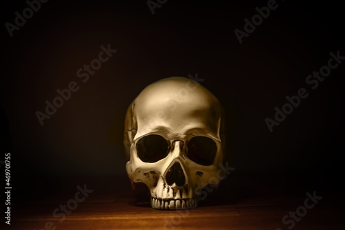 Human skull against dark background