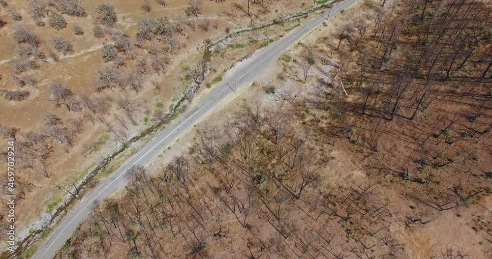 Aerial drone view of Dead trees ravaged by wildfire in california Aerial drone view of Dead trees ravaged by wildfire in california