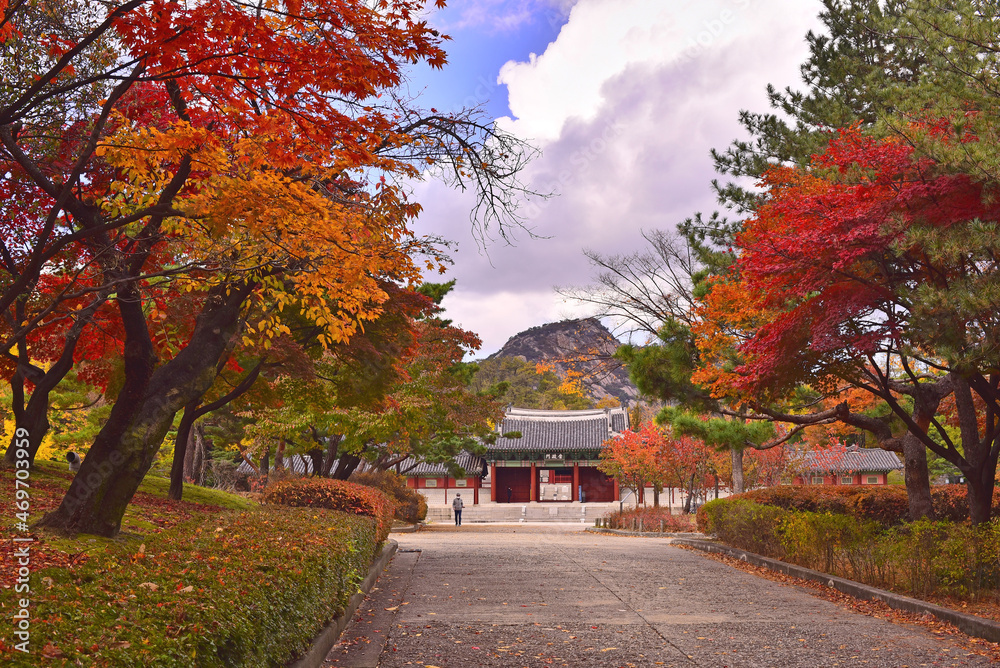 Naklejka premium 경희궁의 가을