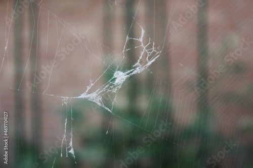 Broken cobweb 