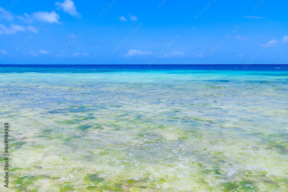 Obraz premium View on Indian ocean at the Zanzibar island