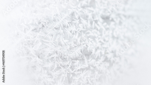 Frosty white tree branches background
