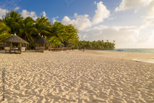 Fototapeta Naklejka Na Ścianę i Meble -  Palms on the sandy beach of Indian. Summer holiday in Zanzibar, Africa. Tropical landscape with palm trees, white sand.