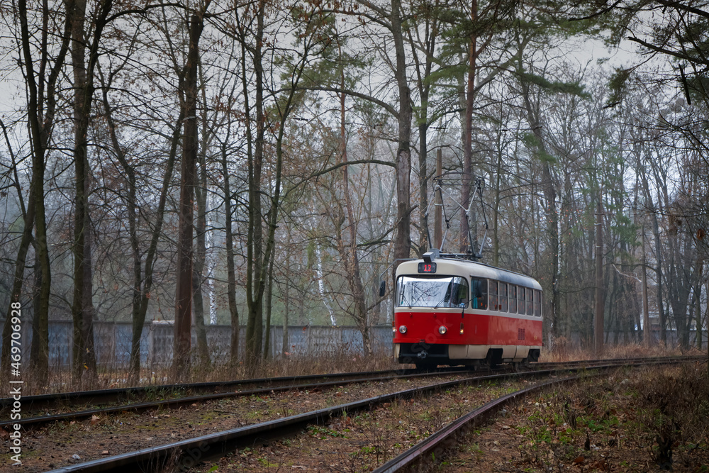 Obraz premium The tram rides on the rails in the forest. Foggy day in autumn. Environmentally friendly city transport. Kiev, Ukraine. Electric tram. Fog. Tall ship pine trees.. Pine. Nature landscape. Trolley