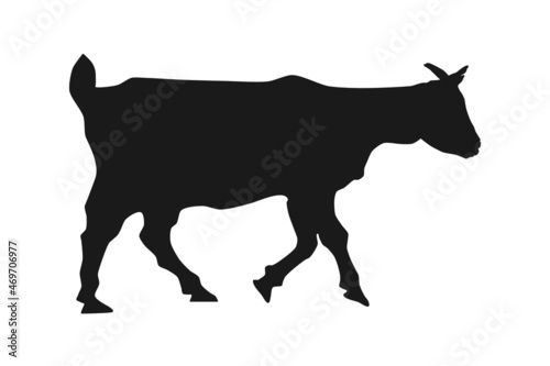 Goat black silhouette isolated on white background, vector eps 10