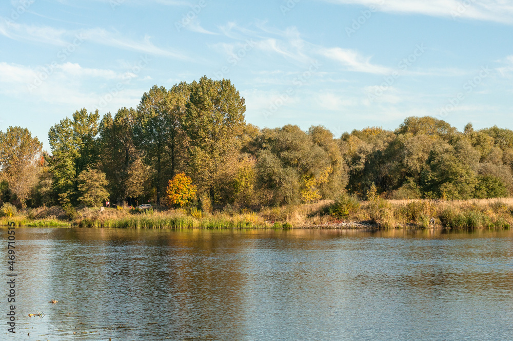 autumn landscape with lake and trees