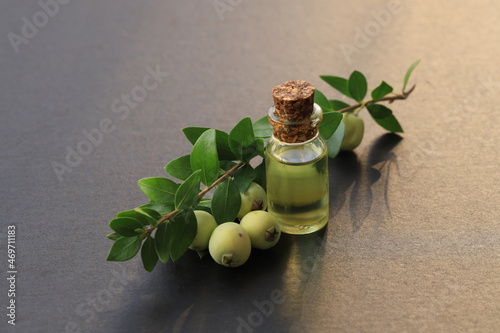 Myrtle Oil in a Glass Container. With myrtle oil , with myrtle berries isolated on gray Background. photo