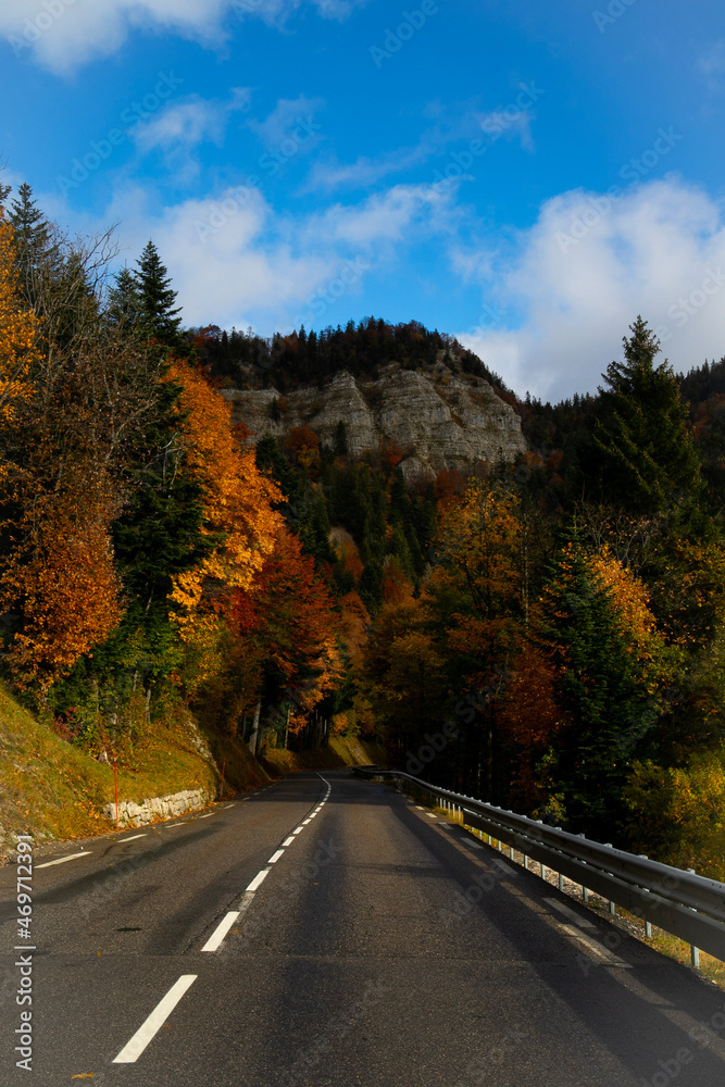 Fototapeta premium road in autumn