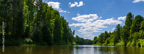 landscape river in the forest