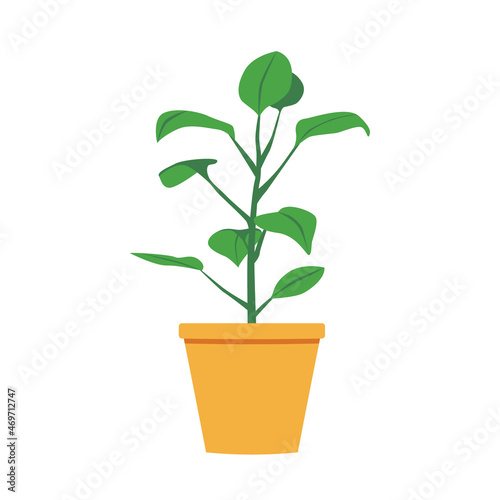 Plant in the pot. Vector illustration for various designs  decoration of stickers  posters  cards.